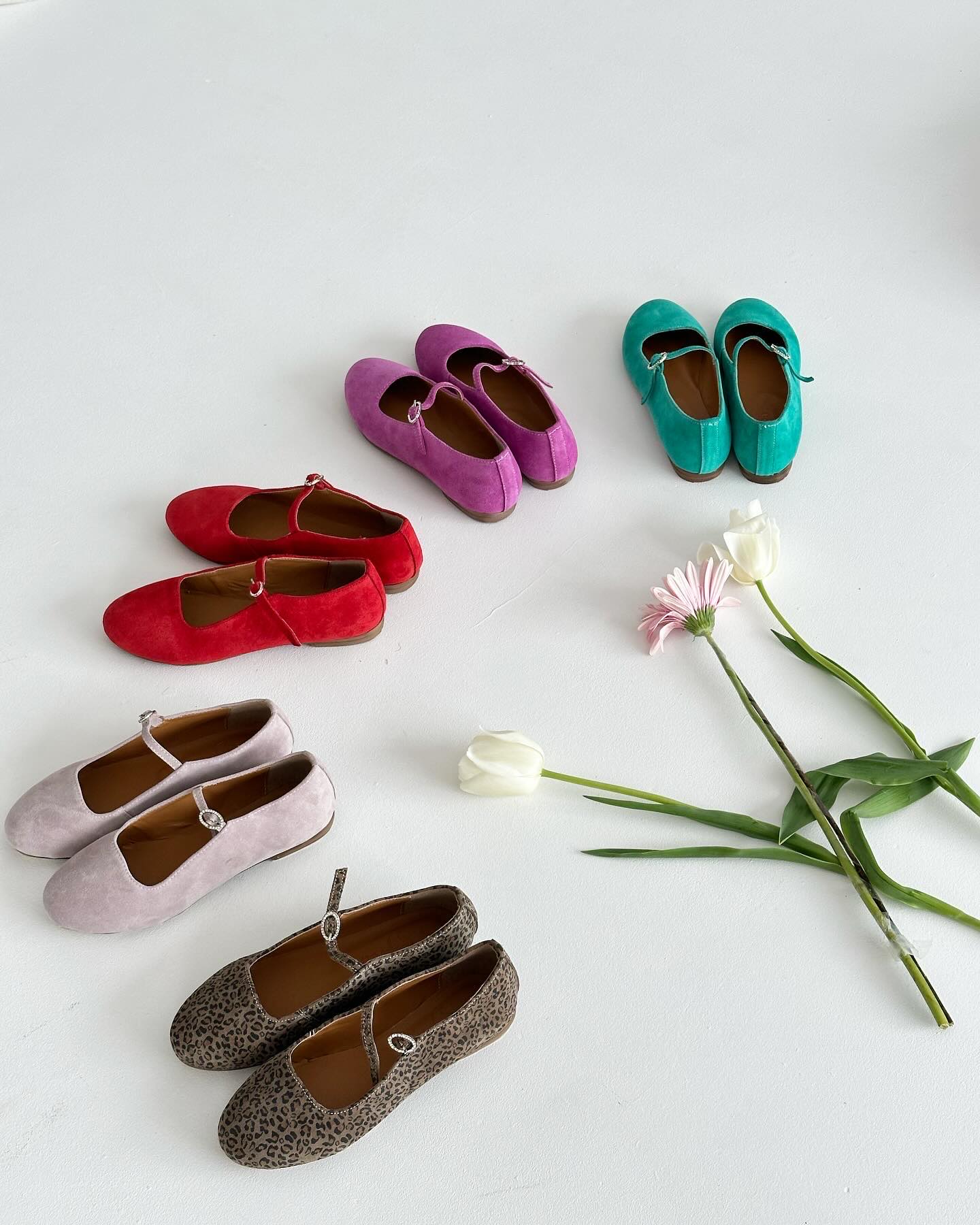 ზამშის მერი ჯეინი