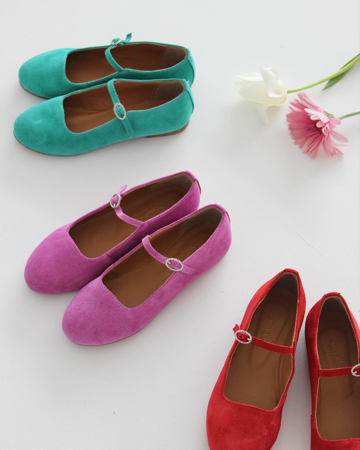 ზამშის მერი ჯეინი