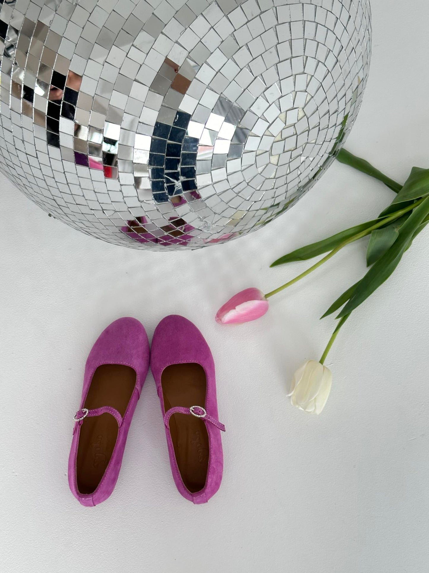 ზამშის მერი ჯეინი