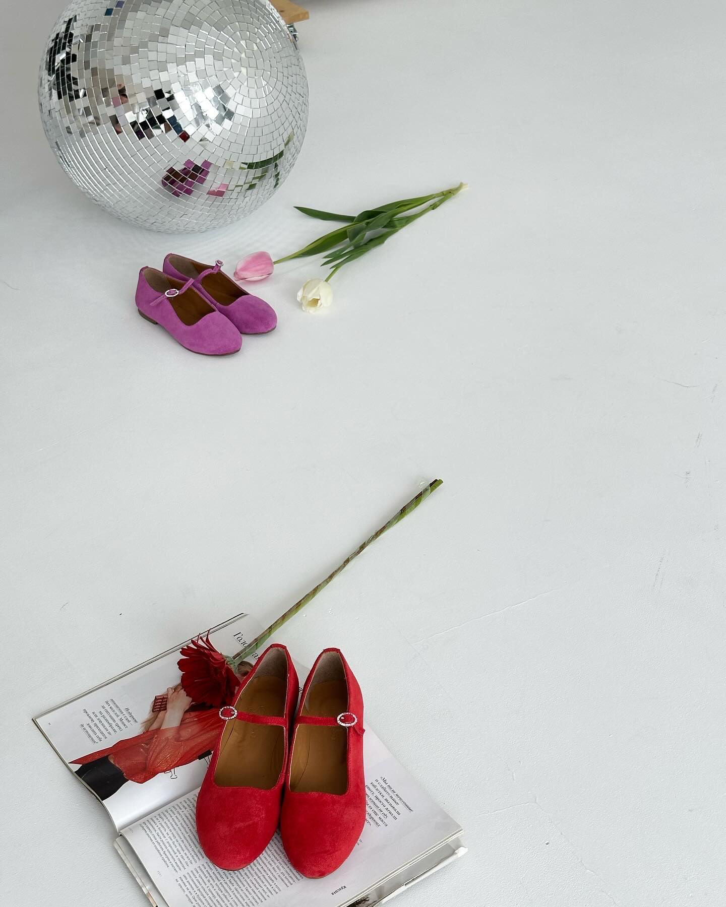 ზამშის მერი ჯეინი