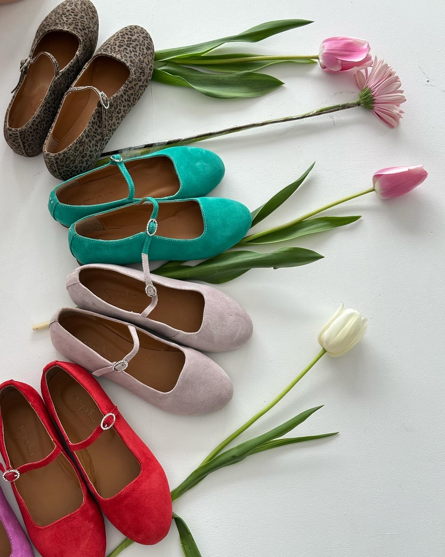 ზამშის მერი ჯეინი