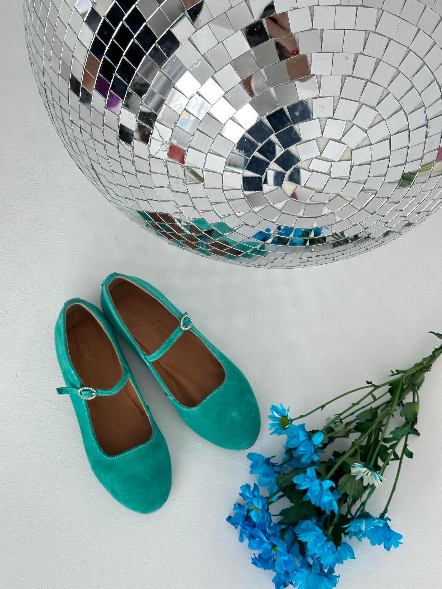 ზამშის მერი ჯეინი